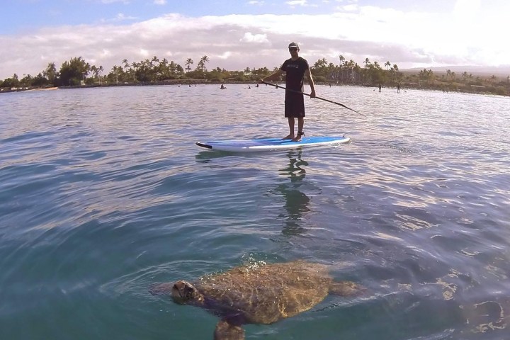 a person standing next to a body of water